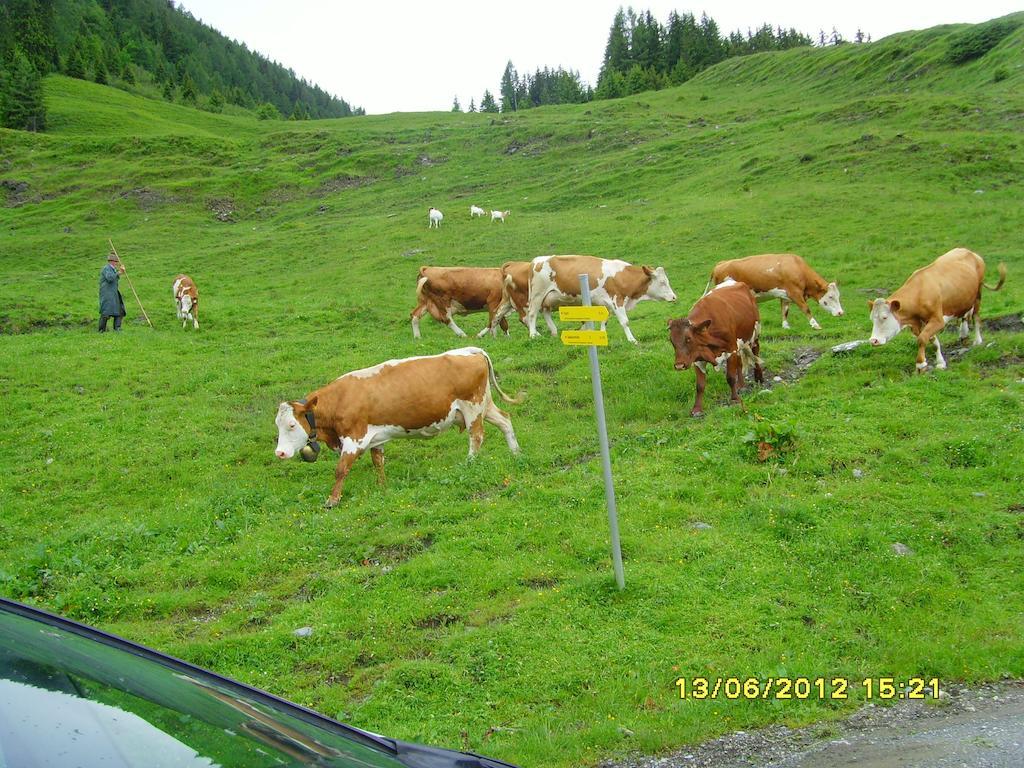 Feriendorf Ponyhof Fusch an der Grossglocknerstrasse Exterior photo